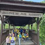 Widok na park