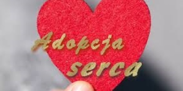 adopcja serca.jpg