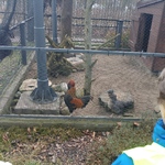 20230324_095402.jpg