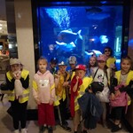 IMG_20230522_185042.jpg