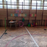 Mini olimpiada 2024