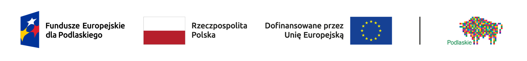 Logo funduszy europejskich