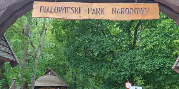 Uczniowie klasy 3a w Białowieskim Parku Narodowym.