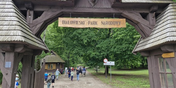 Brama wejściowa do Białowieskiego Parku Narodowego.