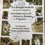 Podziękowanie ze schroniska