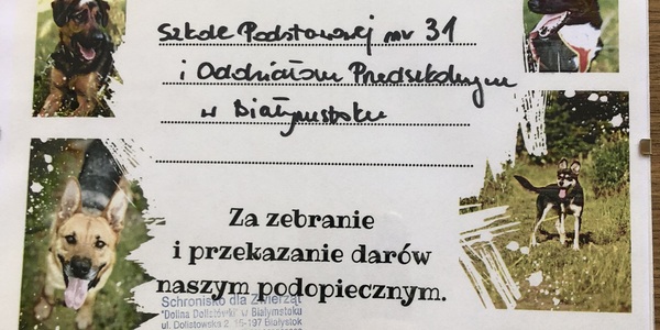 Podziękowanie ze schroniska