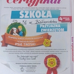 Certyfikat udziału w Międzynarodowym Konkursie plastycznym
na ilustrację do lektury 